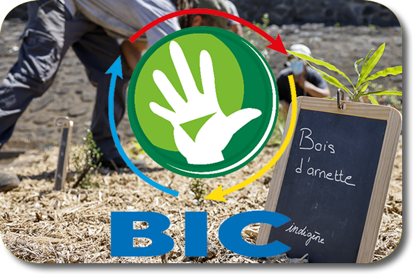 Budget d’Initiative Citoyenne